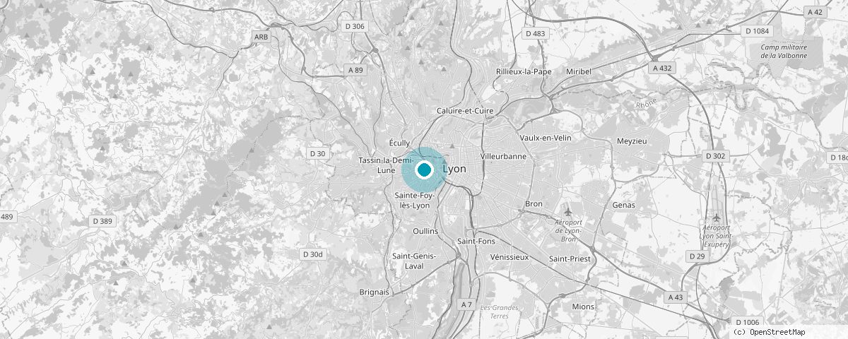 Lyon haritası