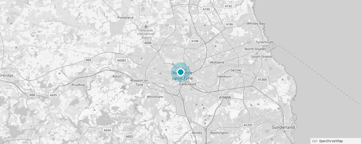 Newcastle haritası